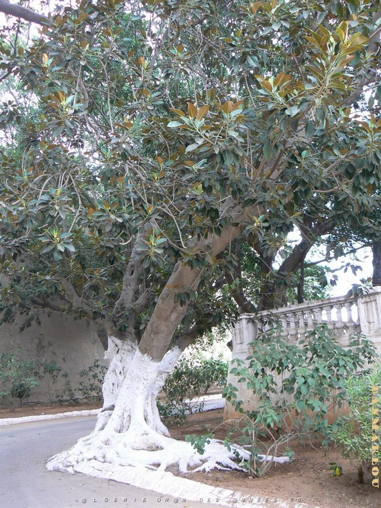 42 promenade de Letang .jpg